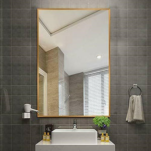 Vera 24" x 32" Rectangular Vanity Mirror with Modern Metal Frame-Frovial