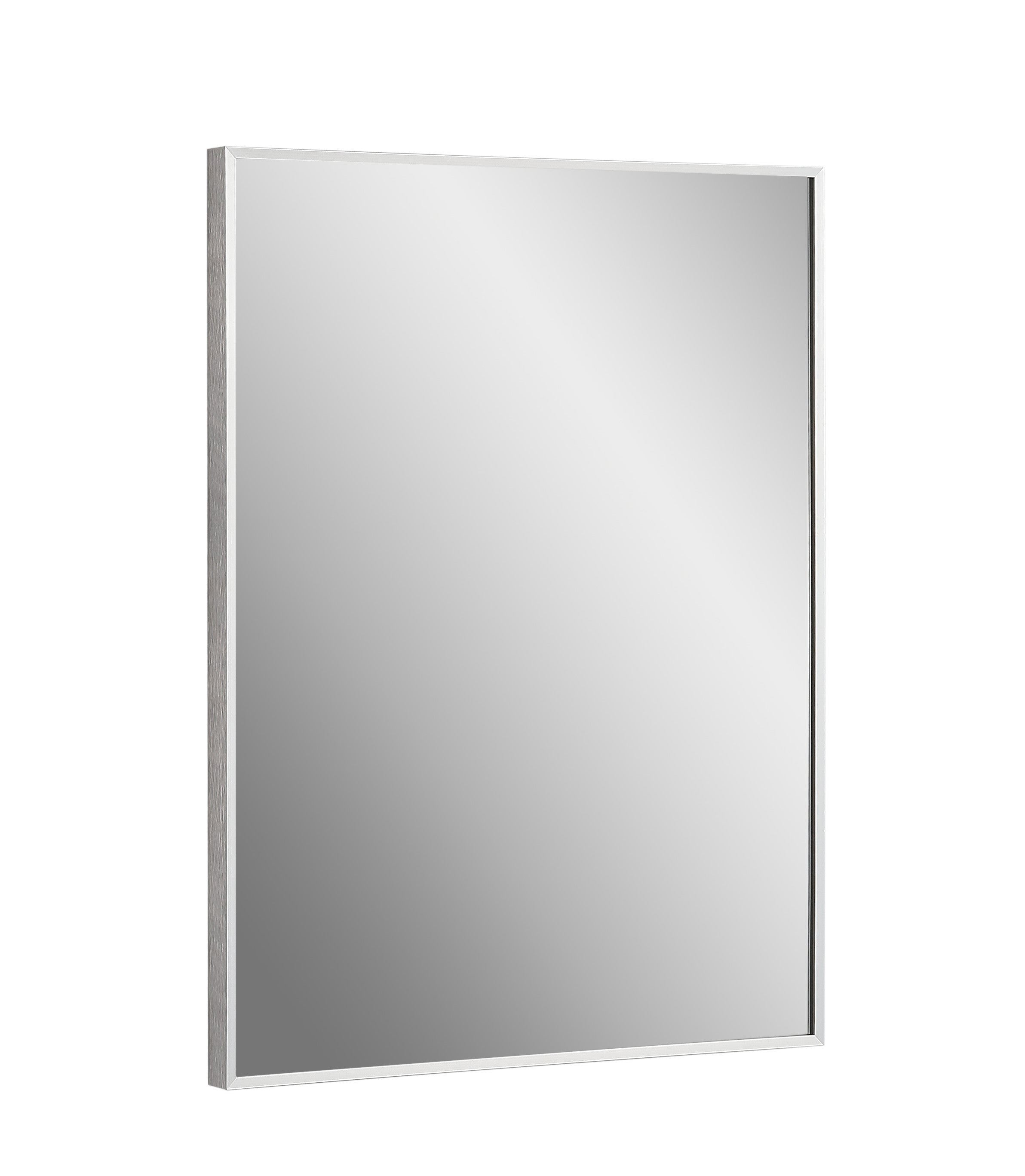 Vera 24" x 32" Rectangular Vanity Mirror with Modern Metal Frame-Frovial