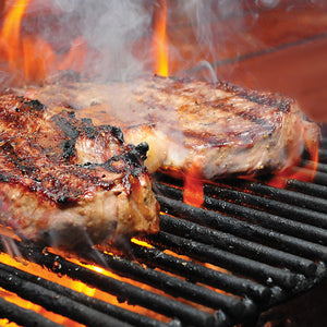 Primo Oval XXL 500 All-In-One Ceramic Charcoal Grill PGCXXLC-Frovial