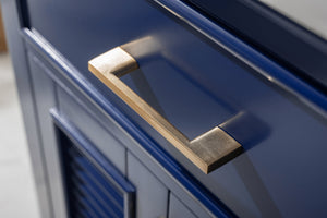 Cameron 24" Single Sink Vanity with Porcelain Top-Frovial